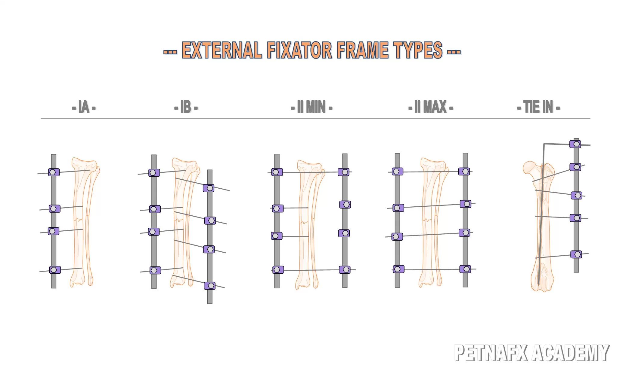 veterinary eternal fixator frame types