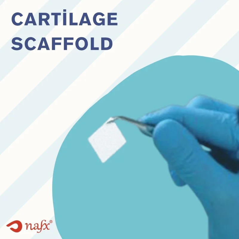 Cartilage Scaffold
