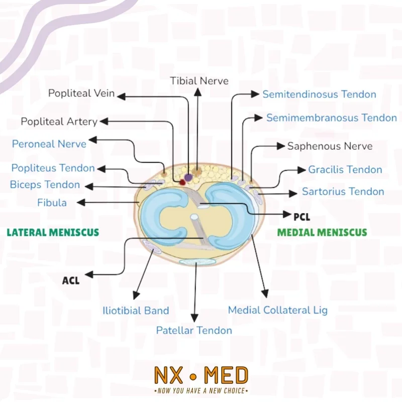Meniscal Repair Suture Kit