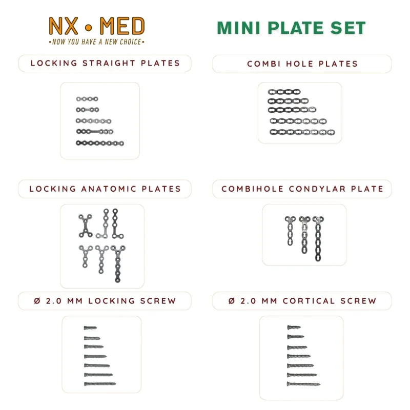 Mini Plates