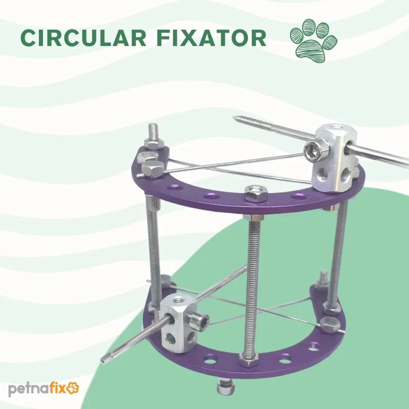 PETNAFX Ring System