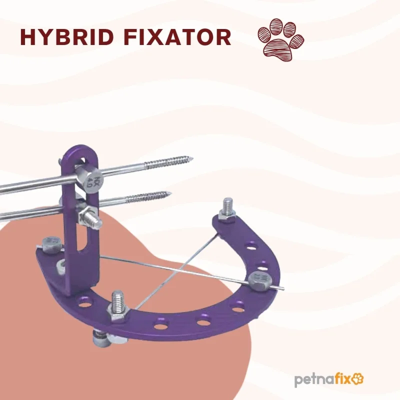 PETNAFX Ring System