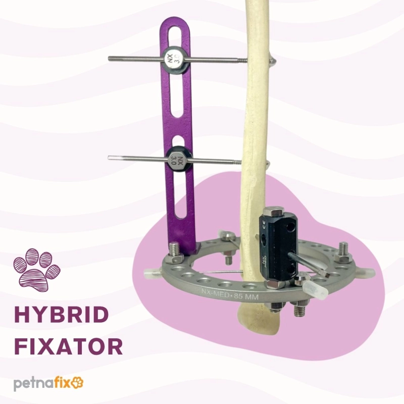 PETNAFX Ring System