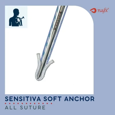 Soft Anchor