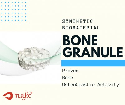 Synthetic Bone Grafts
