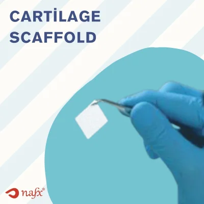 Cartilage Scaffold
