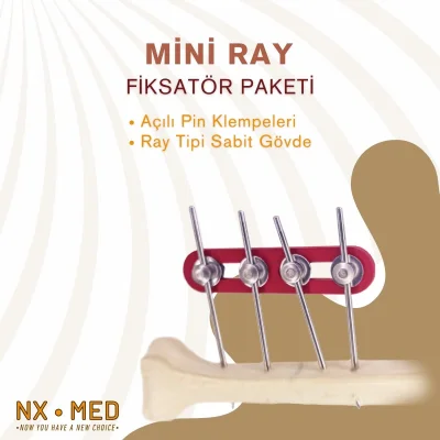 Mini Ray