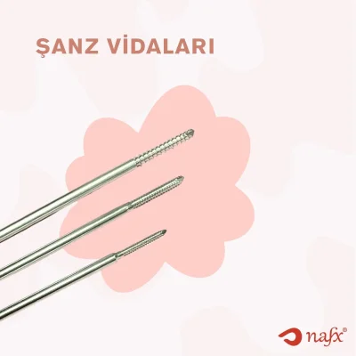 Şanz Vidaları