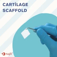 Cartilage Scaffold