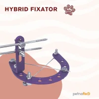 PETNAFX Ring System